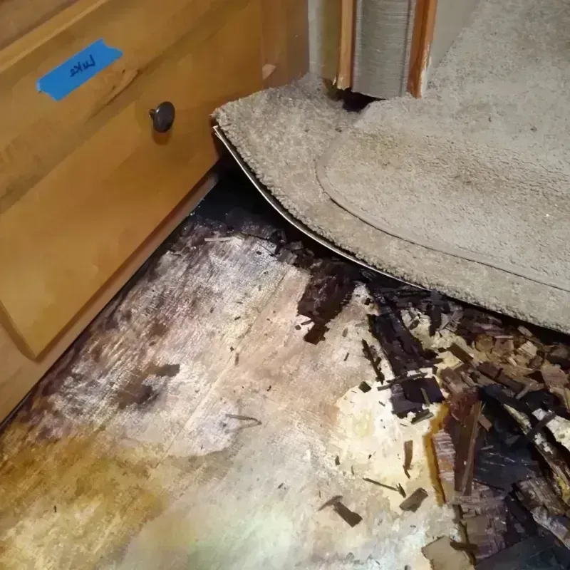 Wood Floor Water Damage in Marceline, MO